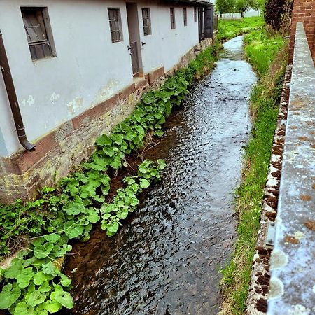 Ferienwohnung Zum Sollingtor Dassel Exteriör bild