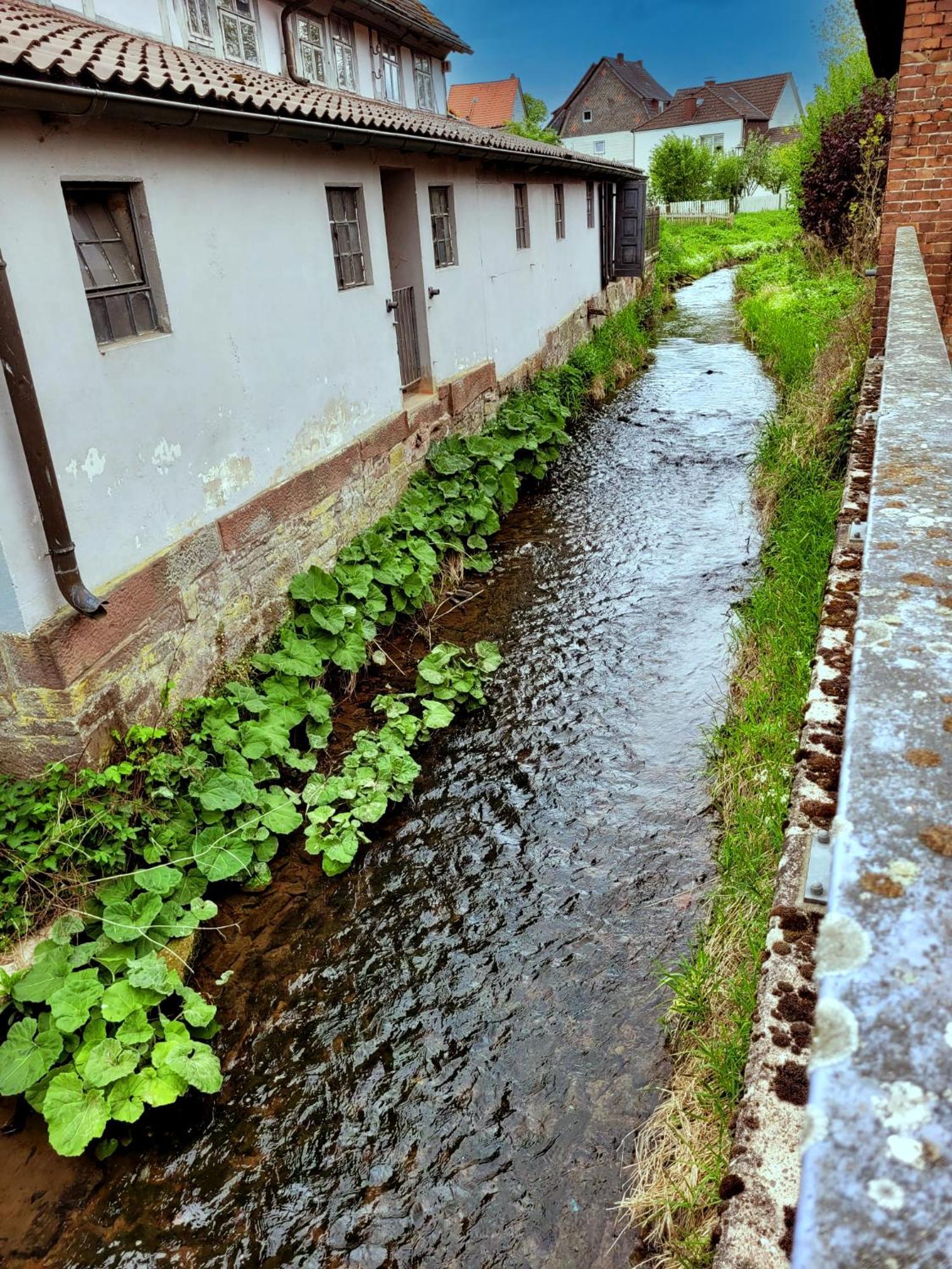 Ferienwohnung Zum Sollingtor Dassel Exteriör bild
