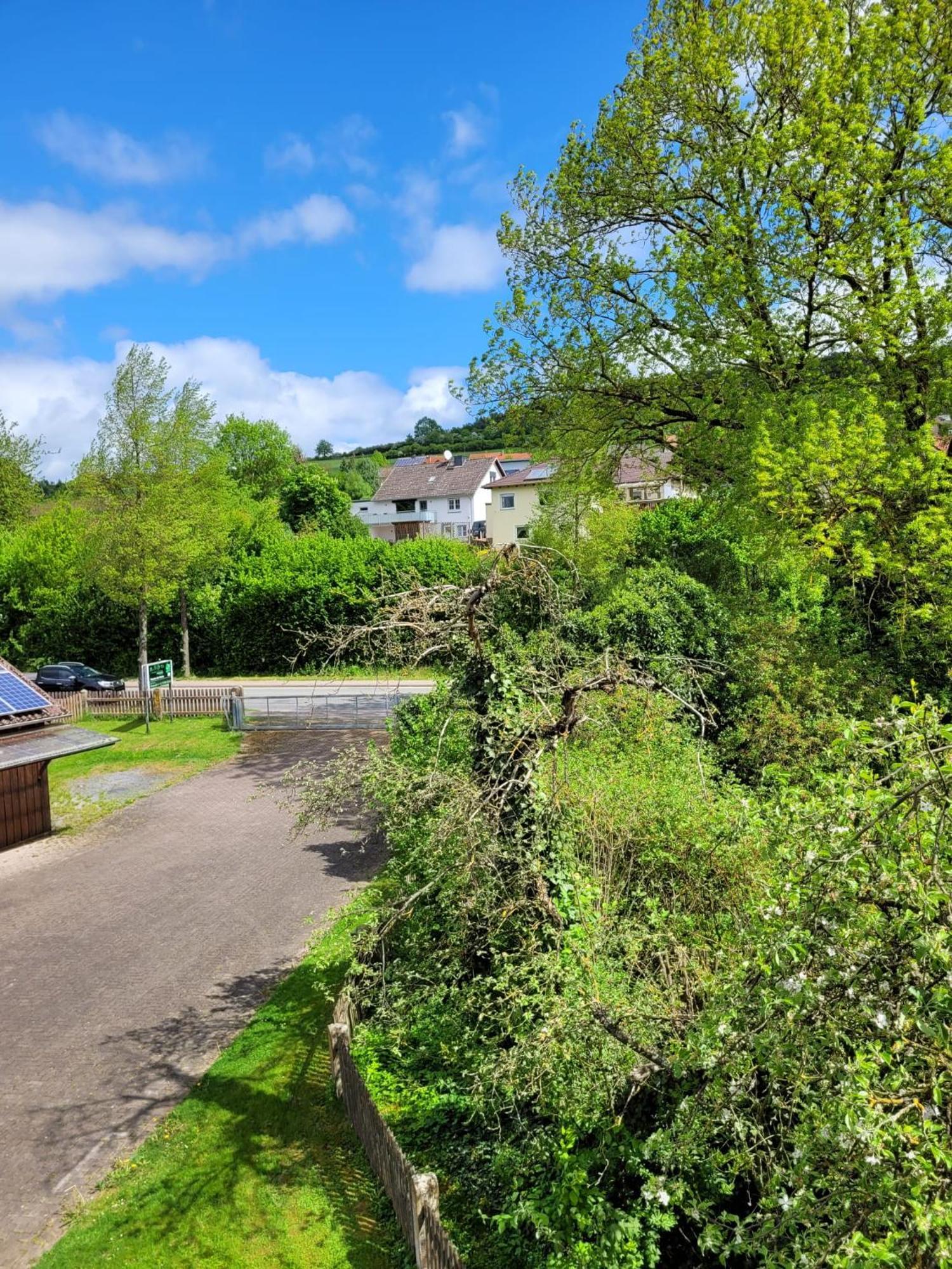 Ferienwohnung Zum Sollingtor Dassel Exteriör bild